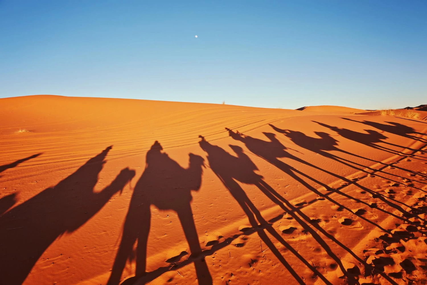 sahara tunisie-tourisme
