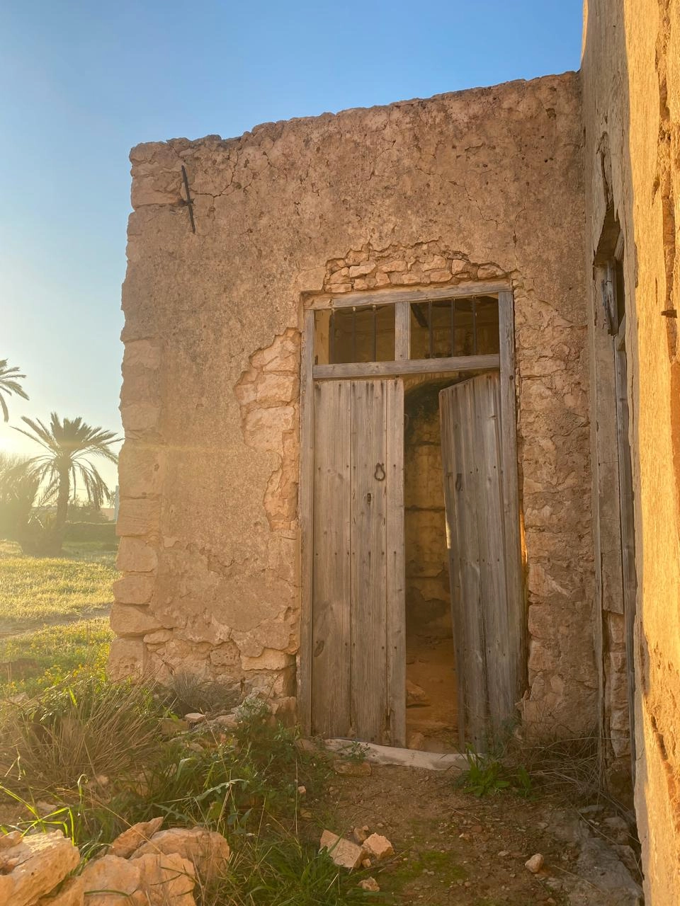 WhatsApp Image 2026-05-08 at 7.45.19 AM (1)